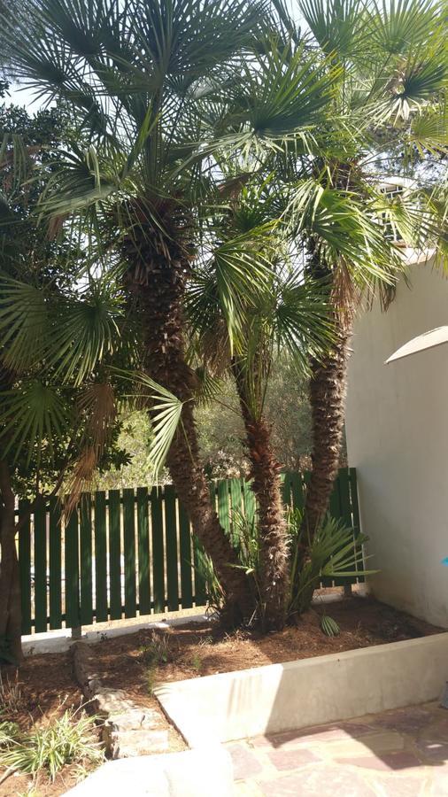 Villa Chabola Denia Eksteriør bilde