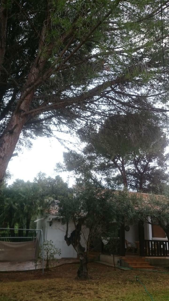 Villa Chabola Denia Eksteriør bilde
